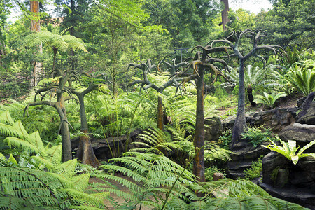 新加坡植物园地貌的古史前图片