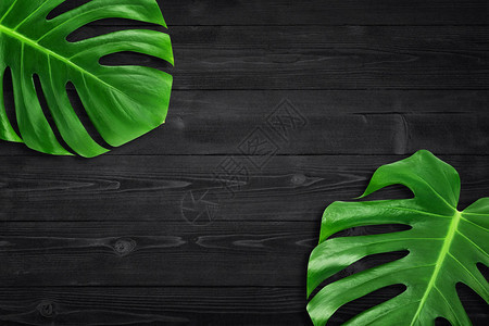 创意布局夏季热带叶平躺组合绿色热带树叶框架与深黑色木背景上的复制空间图片