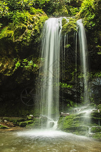 GrottoFalls是美国田纳西大烟雾山公园的图片