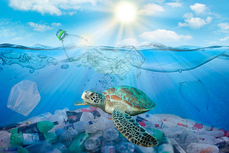 海洋环境问题中的塑料污染海龟吃塑料袋会图片