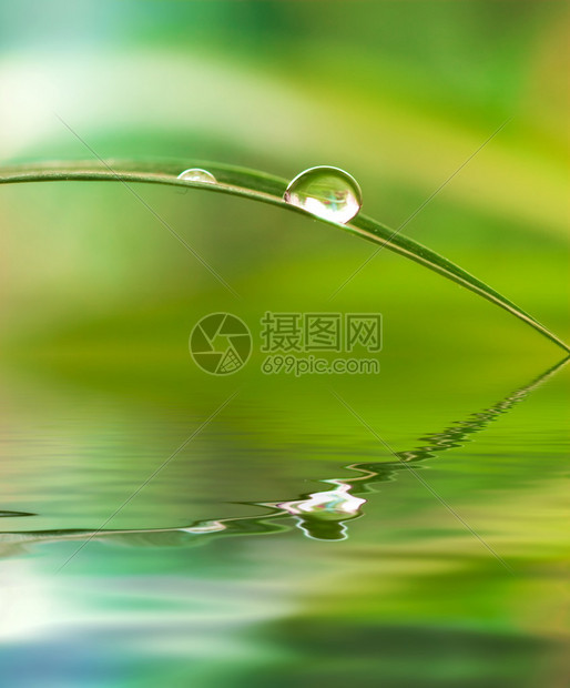 从一片叶子上滴水在表层造成波纹反映图片