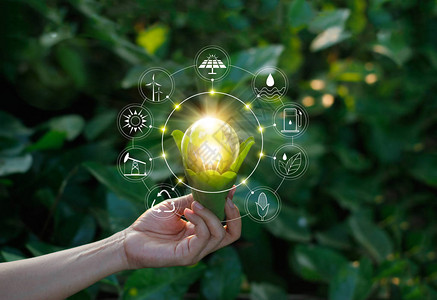 手拿着灯泡反对自然在绿叶与图标能源可再生可持续发展生态概念这幅图像的元素由美航背景图片