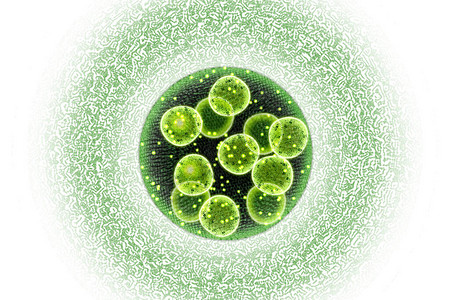 绿色单细胞氯乙烯藻类微生物背景图片