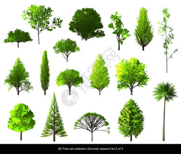 绿叶树夏季用于建筑景观设计3D树孤图片