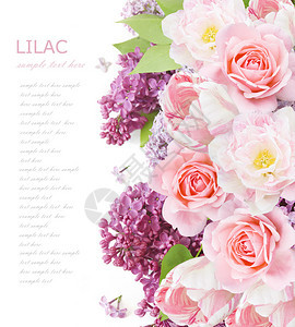 图利普立花和玫瑰花背景用样本文图片