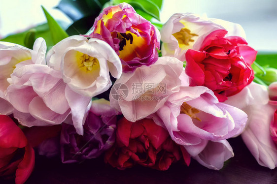 新鲜明亮的花束与木制背景上的郁金香明信片图片