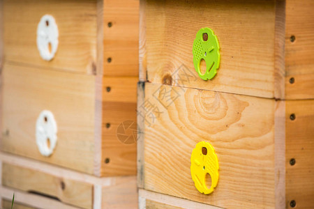 木制蜂箱有蜜蜂的荨麻疹图片