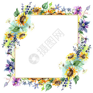 与向日葵花卉植物花的束孤立的野生春叶野花水彩背景插图集水彩画时尚水彩画框架图片
