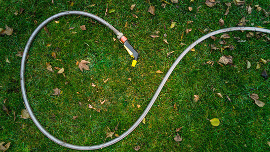 树橡胶园水管躺在草地上叶图片