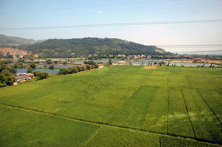 农村绿地自然景观及湖泊与河流图片