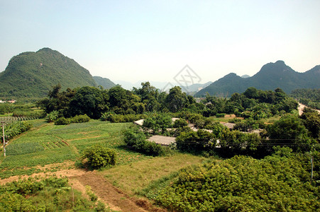 农村绿地自然景观及稻田图片