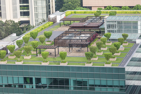 位于新加坡办公大楼屋顶上对称花园的漂图片