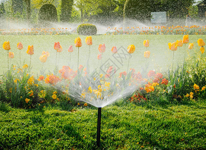 从绿色公园清晨工作的全自动喷灌系统激活智能花园的下方查看图片