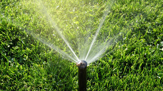 以全自动喷洒灭火器灌溉系统启动的智能花园图片