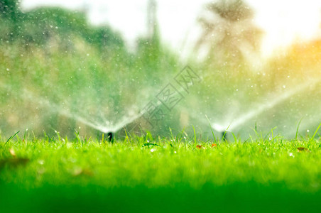自动草坪洒水器浇灌绿草带自动系统的洒水器花园灌溉系统浇灌草坪可调节喷头的自动喷水灭火系图片