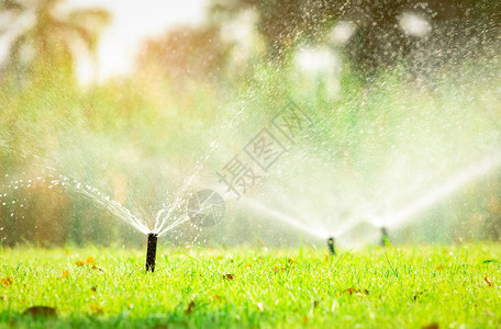 自动草坪洒水器浇灌绿草带自动系统的洒水器花园灌溉系统浇灌草坪洒水系统维护服务家庭背景图片