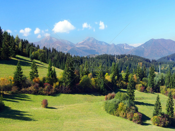 草甸和森林夏天视图与MalaFatra山脉的小山在背景中远处可以看到VelkyRozsutec图片