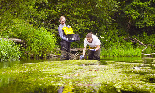 男人和女人科学家环保主义者站在河里妇女采取浮萍样品拿图片