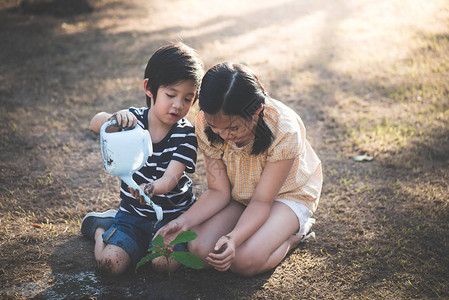 在夏日给幼树浇水的亚洲兄弟姐妹图片