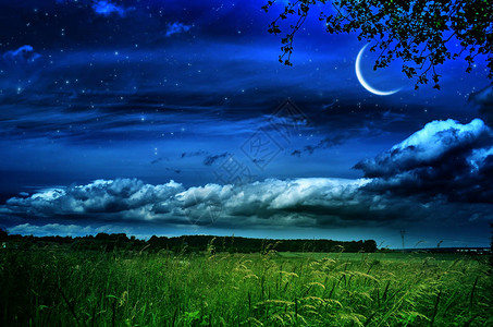 月 松夜色风景山月青绿地星在背景