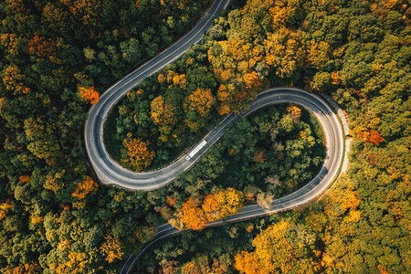 森林中蜿蜒道路上的卡车图片