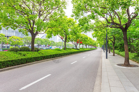 现代城市中的树木装饰道路背景图片