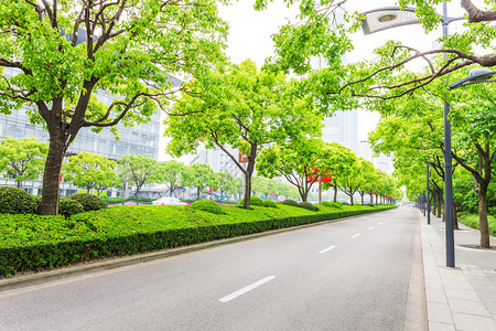 城市风貌,现代城市中的树木装饰道路背景