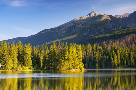 与山湖和松树林的夏天风景图片