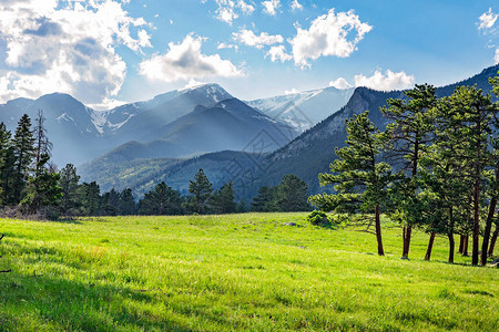 科罗拉多州落基山公园田诗般的夏日风景图片