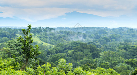 墨西哥恰帕斯的森林风景与山岳交汇于背景图片
