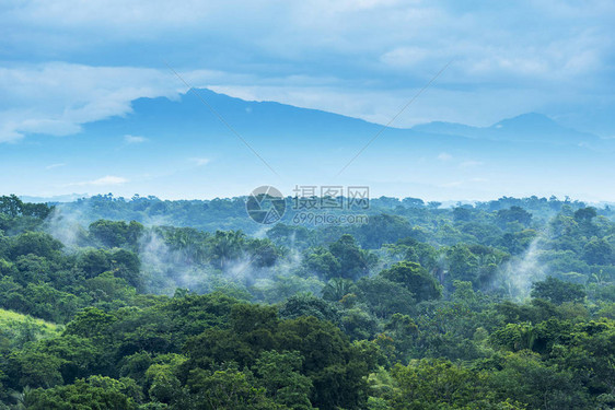 墨西哥恰帕斯的森林风景与山岳交汇于图片