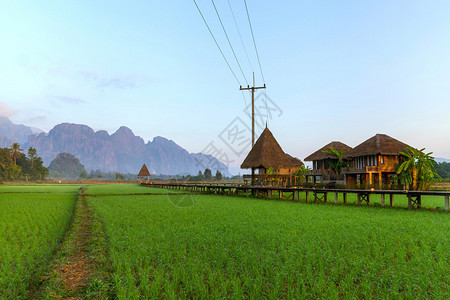 绿稻田和山区老挝VangVi图片