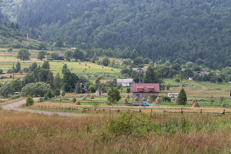 林山坡上的农村住房乌克兰图片