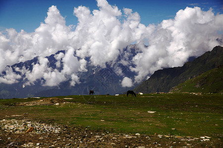 在山谷印度喜马拉雅山罗坦山口图片