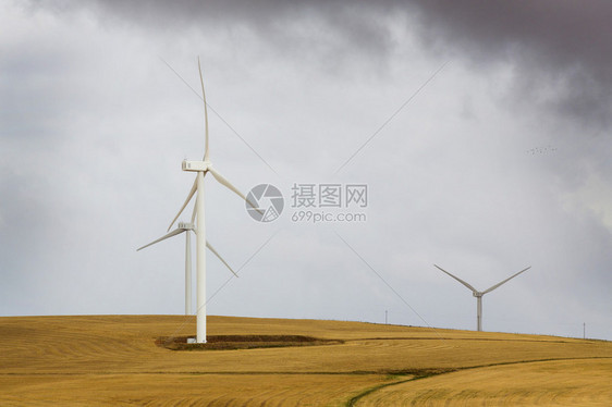 南非的风力发电农场安装发电图片