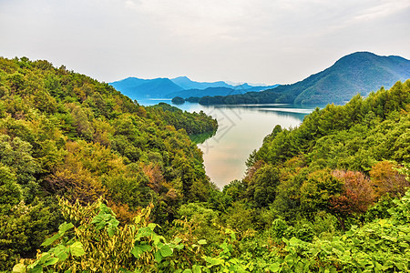 韩国的山上绿树成荫湖光山色图片