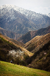 塔吉克斯坦中东部津丘图片