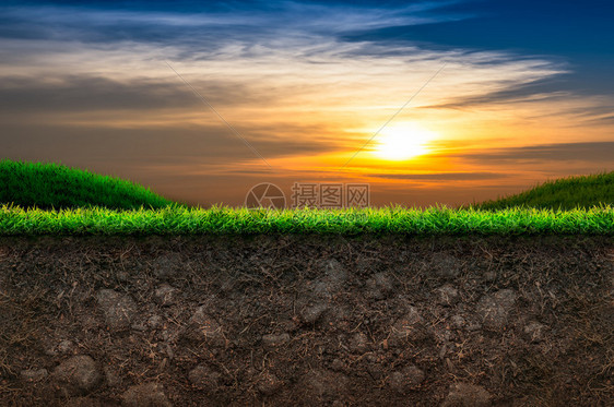 日落背景中的土壤和绿草图片