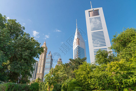 迪拜市中心天线树图片