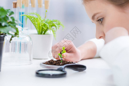 对在实验室的土壤中与绿植物合作的小女图片