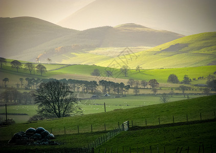 苏格兰边境农村山丘上的低图片