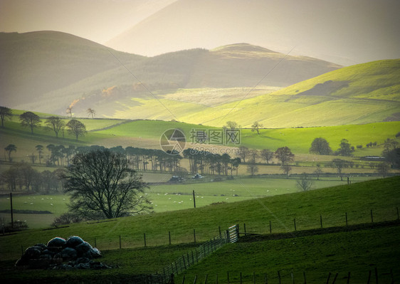 苏格兰边境农村山丘上的低图片