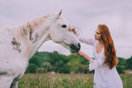 在绿色草地上喂马的红发美女图片
