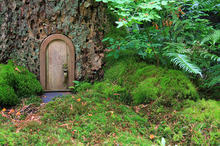 在树干的小木童话门背景图片