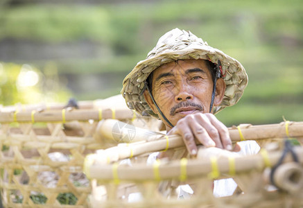 在印度尼西亚巴厘的乌布德Ubud背景图片