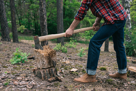 长方格衬衫和牛仔裤中伐木的材皮林图片