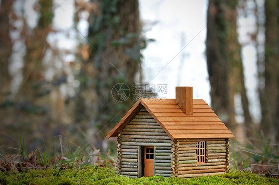 一个生态的小木屋图片