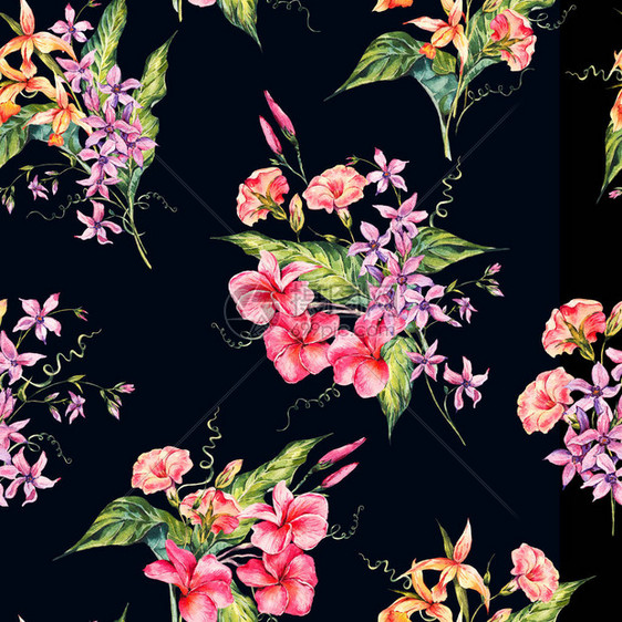 水彩复古花卉热带无缝图案异国情调的花朵树枝和树叶黑色背景上的植物图片