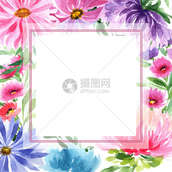 水彩风格的野花紫菀花框图片