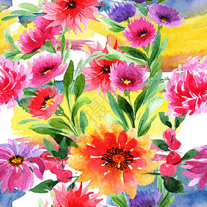 水彩风格的野花紫菀花卉图案图片